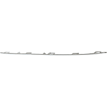 Front, Passenger Side Fog Light Trim, Chrome