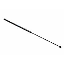 Lift Support For Hood, Sedan