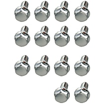 Universal Diferential Cover Bolt, 5/16 in.-18 x 3/4 in. Sized Bolts, Hex Head, Chrome, Set Of 14