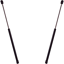 SET-AC510717-2 Tailgate (Driver and Passenger Side) Tailgate, Sport Utility, Professional Series