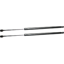 Driver and Passenger Side Trunk Lid Lift Support, Sport Utility