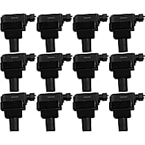 Ignition Coil, Set of 12
