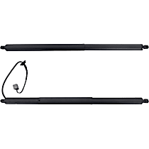 Driver and Passenger Side Liftgate Lift Supports, For Models With Power Liftgate, Set of 2