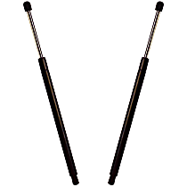 Lift Support Trunk Lid, Sedan