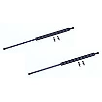SET-TSP612994-2 Driver and Passenger Side Hood, Sedan