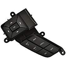 Cruise Control Switch - 