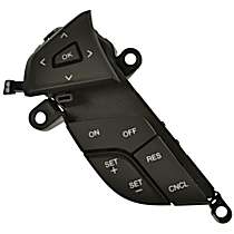 Cruise Control Switch - Driver Side