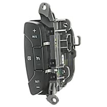 DS-2156 Cruise Control Switch Standard OE Replacement
