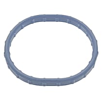 PG91 Intake Plenum Gasket