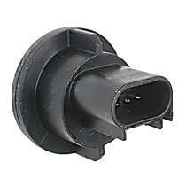 Bulb Socket - Tail light, Universal, Sold individually