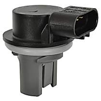 Standard OE Replacement Bulb Socket - Direct Fit, Sold individually