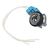 Standard OE Replacement Bulb Socket - Direct Fit, Sold individually
