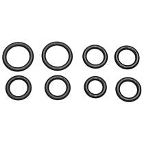 SK79 Fuel Rail O Ring Kit - Direct Fit