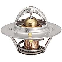 13859 Thermostat