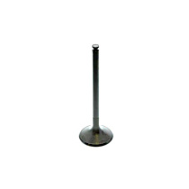 111-053-24-01 Intake Valve - Sold Individually