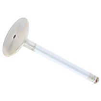 116-050-01-26 Intake Valve - Sold Individually