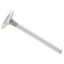 180-053-04-01 Intake Valve - Sold Individually