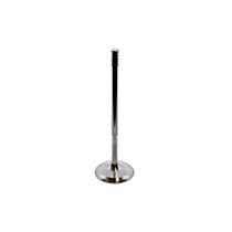 271-053-10-01 Intake Valve - Sold Individually