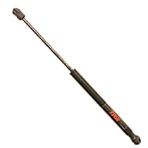 Lift Support Back Glass