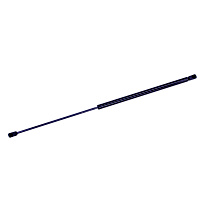 613236 Passenger Side Hood