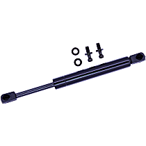 Lift Support Trunk Lid, 4-Door, Sedan