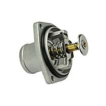 1192000015 Thermostat