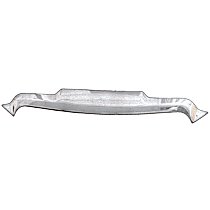 Bug Shield, Chrome, 3M adhesive tape, Aeroskin Series - 