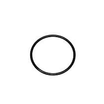 Fuel Pump Seal