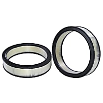 42095 Air Filter