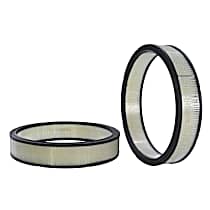 42102 Air Filter