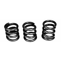 36404 Exhaust Spring - Direct Fit