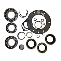 ZTBK485 Transfer Case Np271 & Np271 Transfer Case Bearing Kit 1999+ Ford
