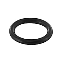 V99-99-0001 Thermostat O-Ring