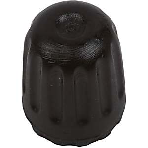 AC Delco Valve Stem Caps