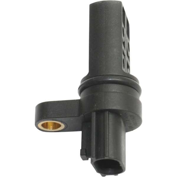 repi311803_1