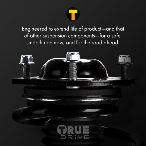 TrueDrive Loaded Strut Rear Driver Side RM28070008