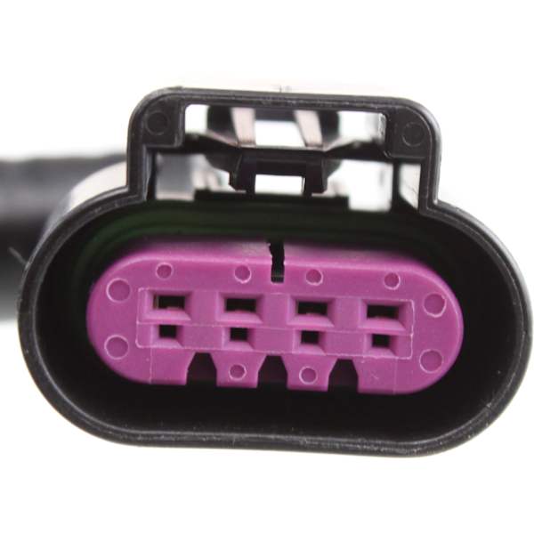 Replacement Driver and Passenger Side Halogen Tail Light Replacement Driver and Passenger Side Halogen Tail Light