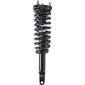 Shock Absorber and Strut Assembly