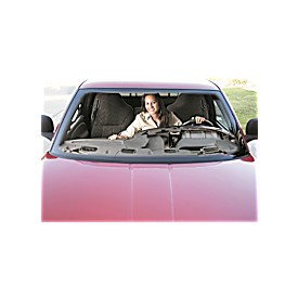 Interior Restoration Kit