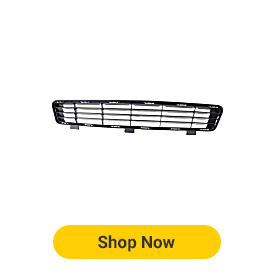 Bumper Grille