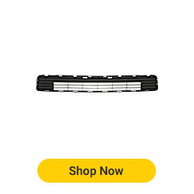 Bumper Grille
