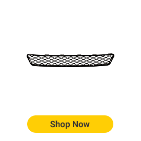 Bumper Grille