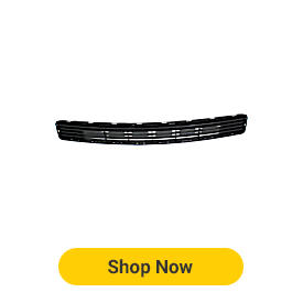 Bumper Grille