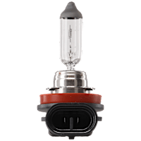 Driver or Passenger Side Halogen H11 Headlight Bulb Low and High Beam, Sold individually