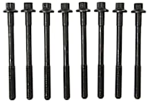 Mahle® GS33556 Cylinde Head Bolt, Set