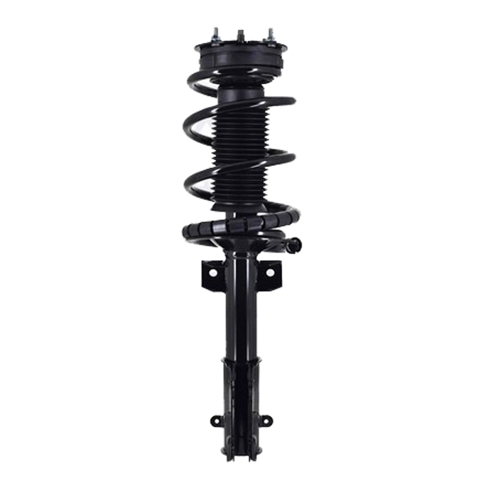 Strut And Spring Assemblies Carparts Com