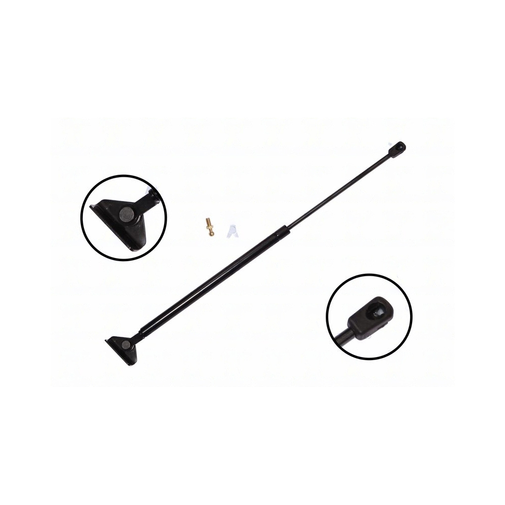 FCS® 84810 Driver or Passenger Side Liftgate Lift Support
