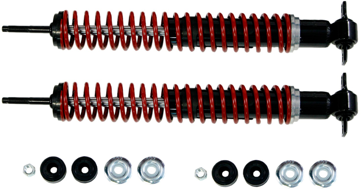 AC Delco® 519-36 Front, Driver and Passenger Side Shock Absorber - Set of  2, Front Spring Assist