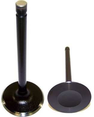 Dnj Engine Component IV3104 Intake Valve - View #4