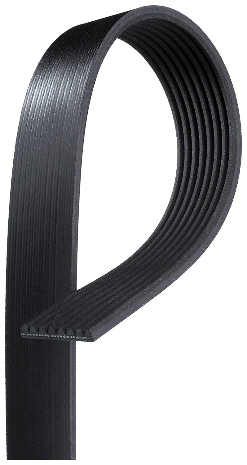 1987 International 5070 Serpentine Belt, 10.0L, With 63 5/8